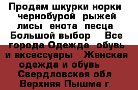 Продам шкурки норки, чернобурой, рыжей лисы, енота, песца. Большой выбор. - Все города Одежда, обувь и аксессуары » Женская одежда и обувь   . Свердловская обл.,Верхняя Пышма г.